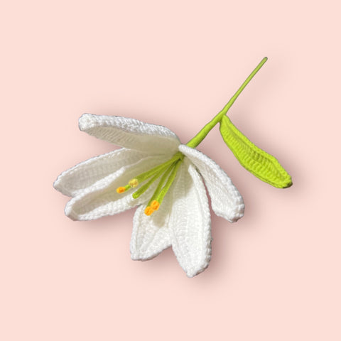 Crochet LiLy