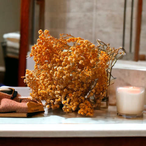 Preserved Baby's Breath/ Gypsophila