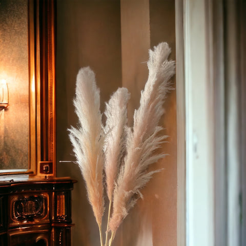 Pampas Grass