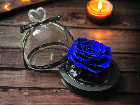 Preserved rose in glass dome